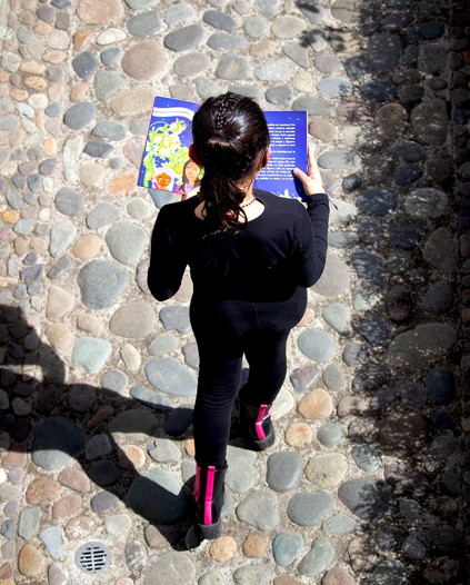 LIBRO LUCIANA Y EL REMOLINO