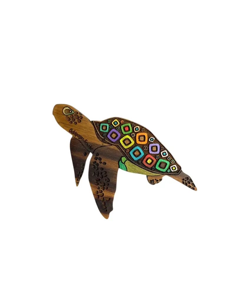 WM2 - MAGNETICO TORTUGA