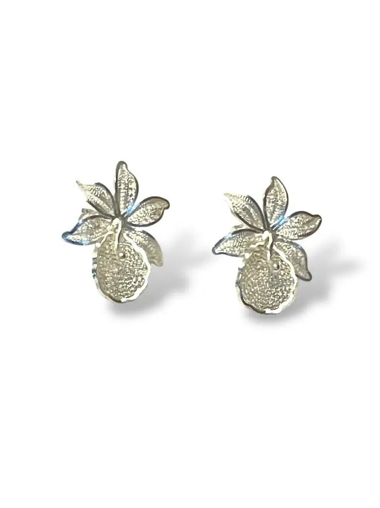 TJR21 - PAR ARETES IDENTIDAD EN PLATA 