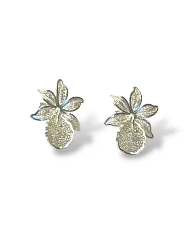 [TJR21] PAR ARETES IDENTIDAD EN PLATA 