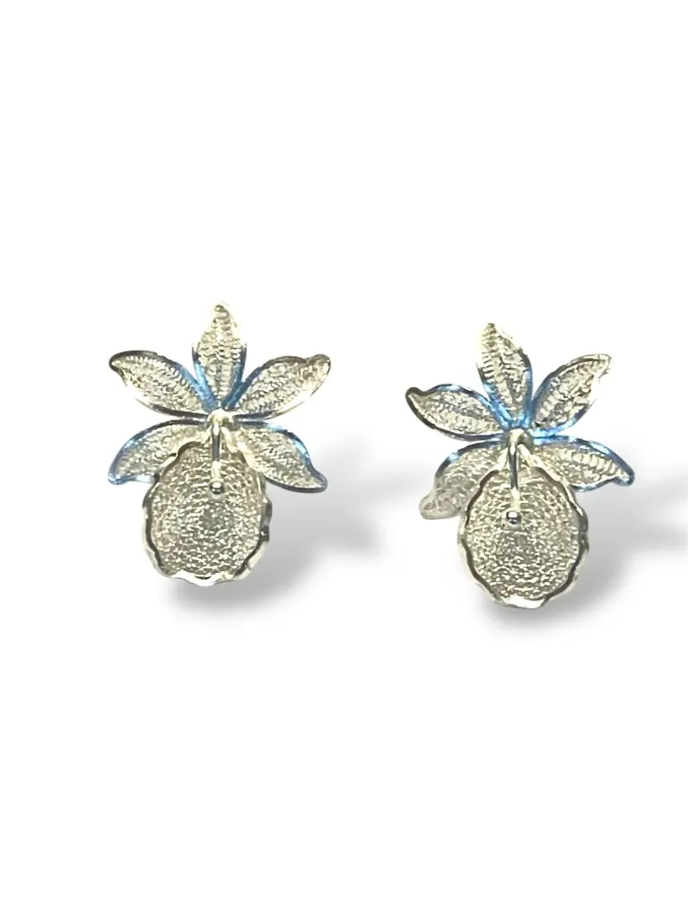 TJR24 - PAR DE ARETES IDENTIDAD EN PLATA