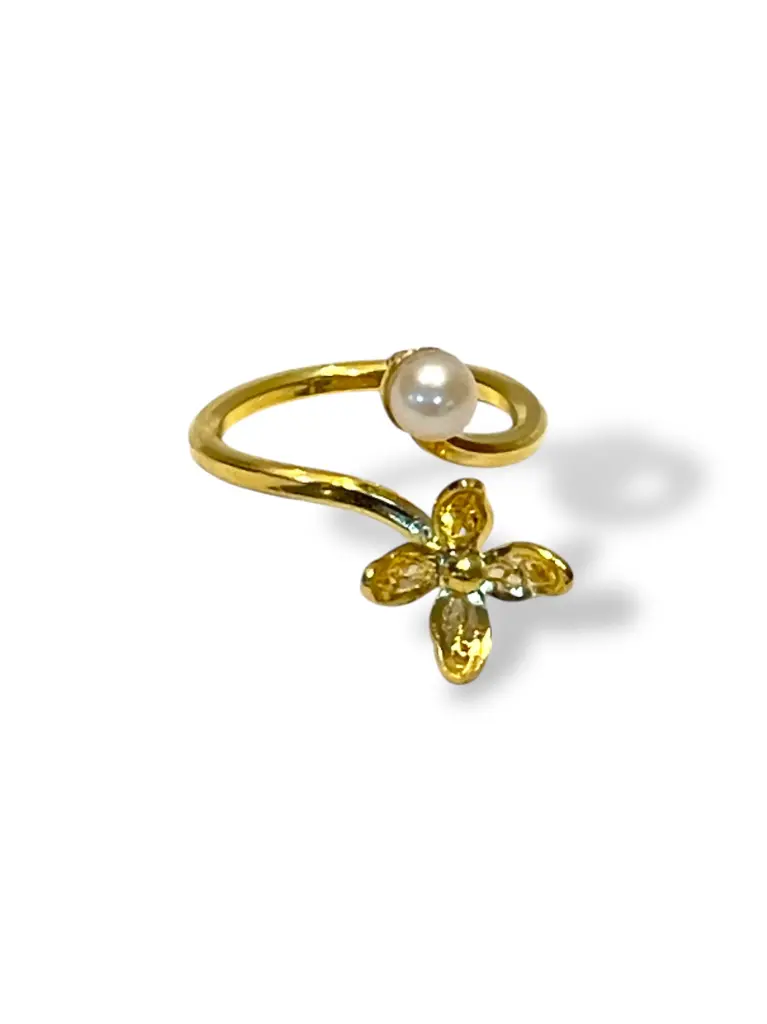 TJN33 - ANILLO IDENTIDAD EN PLATA