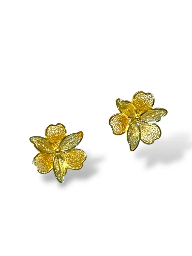 TJR314 - PAR DE ARETES IDENTIDAD EN PLATA