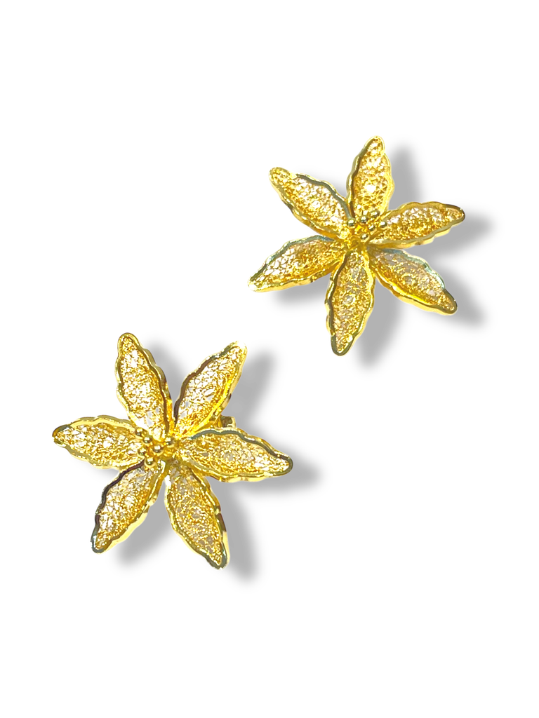 [TJR334] TJR334 - PAR DE ARETES IDENTIDAD EN PLATA