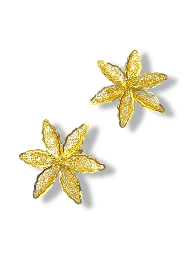 [TJR334] TJR334 - PAR DE ARETES IDENTIDAD EN PLATA