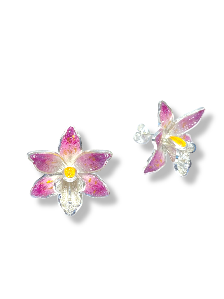 [TJR340] TJR340 - PAR DE ARETES IDENTIDAD EN PLATA