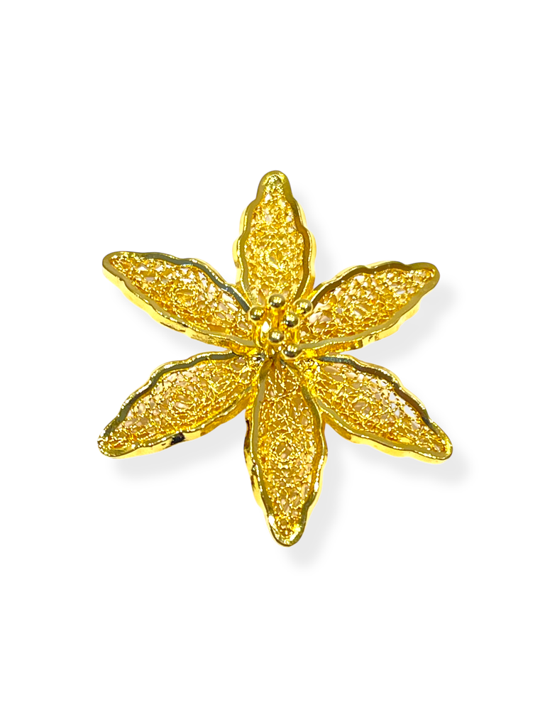 TJG316 - COLGANTE IDENTIDAD EN PLATA