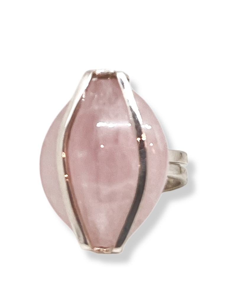 TJN12 - ANILLO NATURALEZA