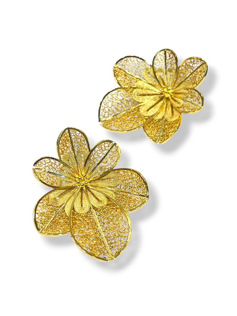 TJR360 - PAR DE ARETES IDENTIDAD EN PLATA