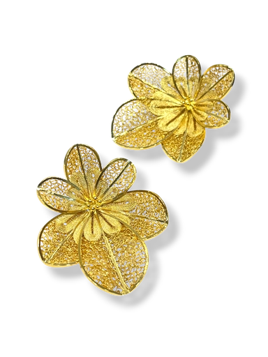[TJR360] TJR360 - PAR DE ARETES IDENTIDAD EN PLATA