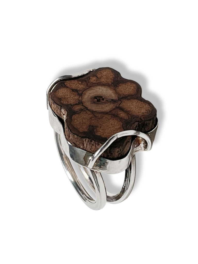 [TJAN63] ANILLO NATURALEZA