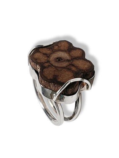 [TJAN63] ANILLO NATURALEZA