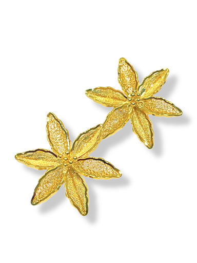 [TJR336] TJR336 - PAR DE ARETES IDENTIDAD EN PLATA