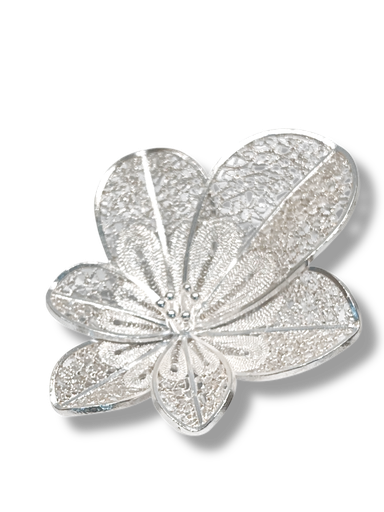 [TJD21] TJD21 - PRENDEDOR IDENTIDAD EN PLATA