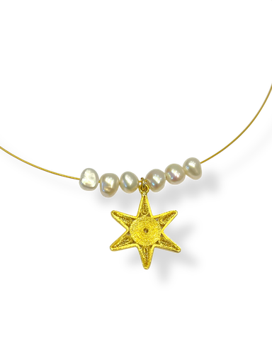 [TJL35] TJL35 - COLLAR IDENTIDAD EN PLATA